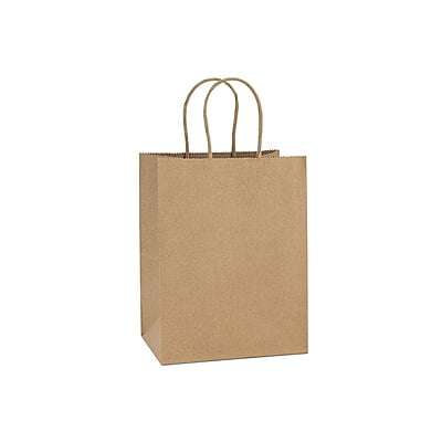 Kraft Paper Bag with Rope Handle L 32x25x11cm (320mm x 250mm x 110mm )