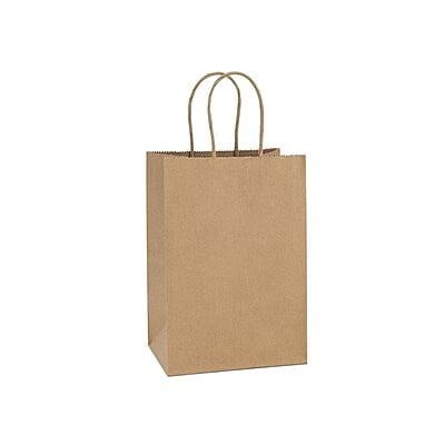 Kraft Paper Bag with Rope Handle (M) 25x25x15.5cm