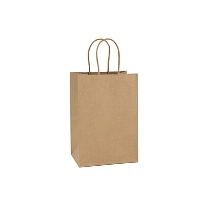 Kraft Paper Bag with Rope Handle (S) 21x19x12cm