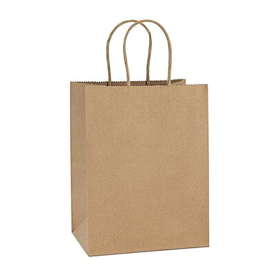 Kraft Paper Bag with Rope Handle XXL 40x33x16cm