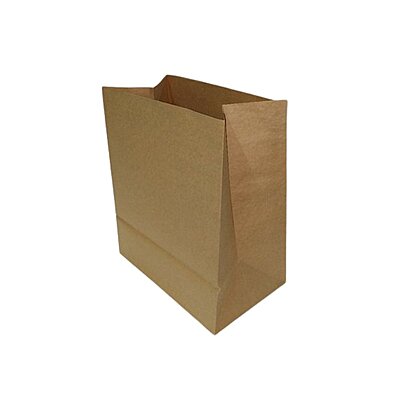 Paper Bag (L) 300x275x160mm