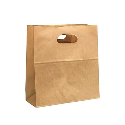 Paper Bag (L) with Die Cut Handle 300x275x160mm