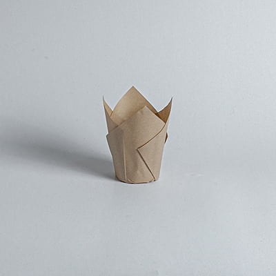 Tulip Cake Cup 17.5x17.5cm-kraft