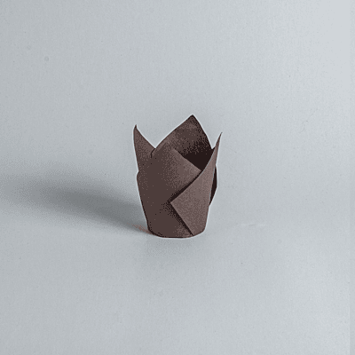 Tulip Cake Cup 17.5x17.5cm-Brown
